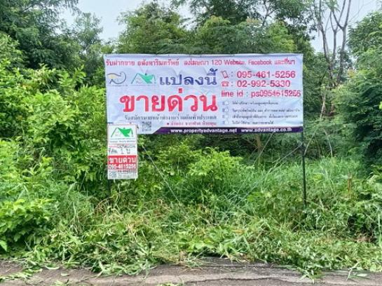 ที่ดิน นครราชสีมา ที่ดิน นครราชสีมา