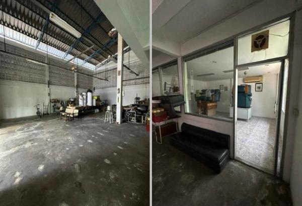 ⡴ѧ������ �ҧ�