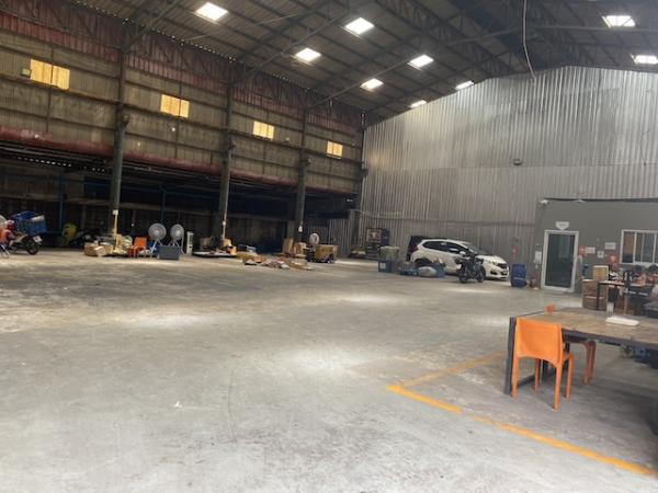 ⡴ѧ������ �ҧ��������ا෾