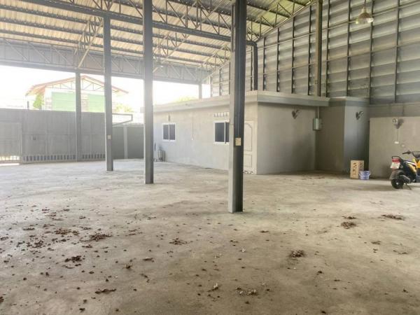 ⡴ѧ������ �ҧᤡ�ا෾