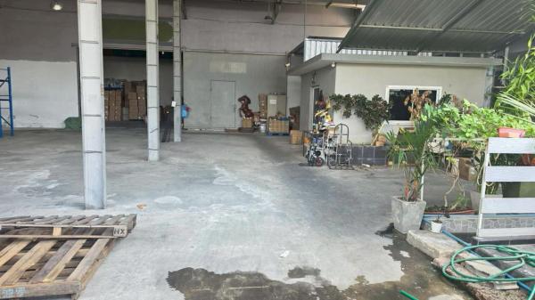 ⡴ѧ������ �ҧ�