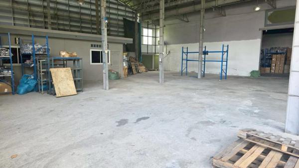 ⡴ѧ������ �ҧ�