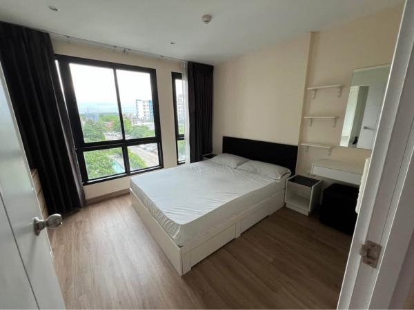 �͹������� �֧����