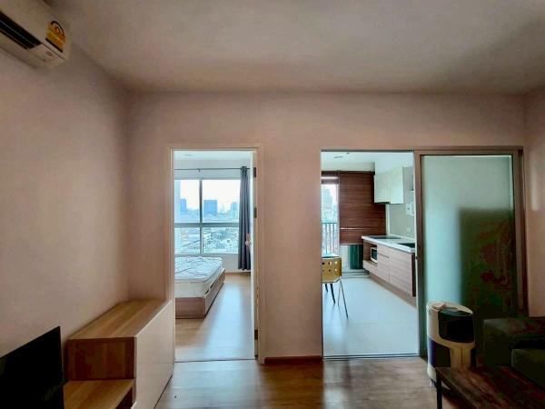 �͹� �Ҥ����ᾧ