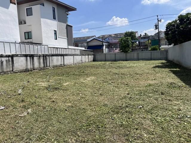 ที่ดิน lotus ที่ดิน lotus