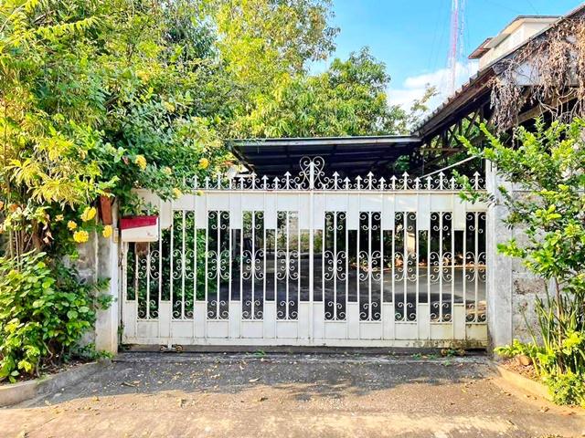 �Ҥ�þҳԪ�� �ӻҧ �ش���͹