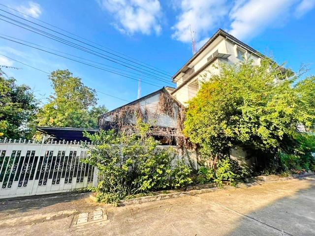 �Ҥ�þҳԪ�� �ӻҧ �������