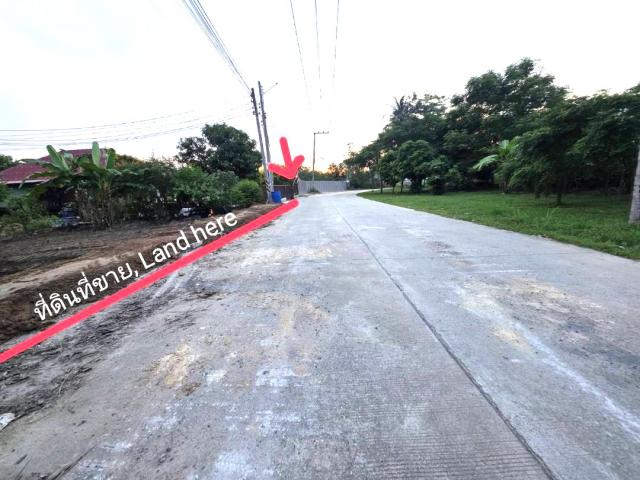 ���Թ�������� �ź���