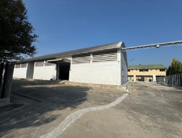 �����ҹ �� bbest2