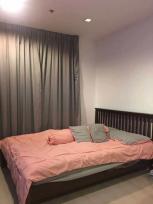 ������ �͹�