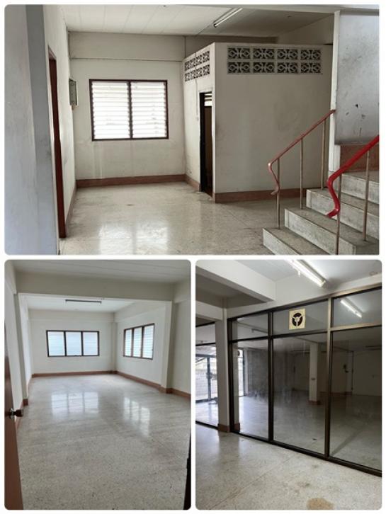 �Ҥ�þҳԪ����ѧ���٧ �ҧ��