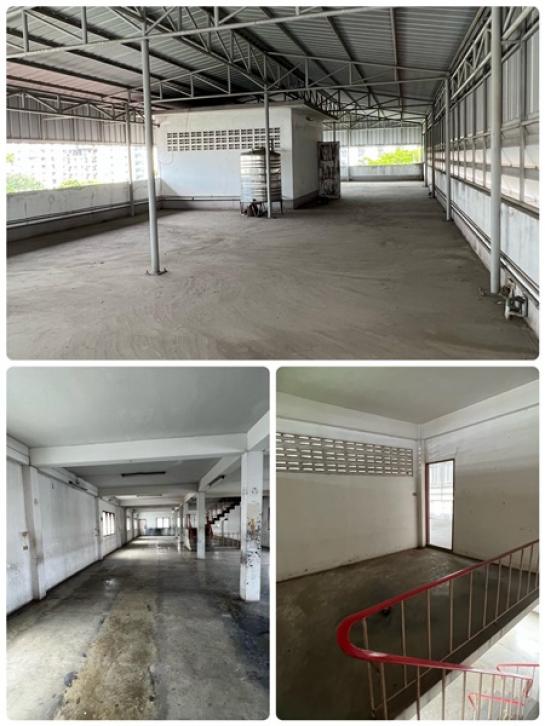 �Ҥ�þҳԪ���ٹ���Ш���Թ��� �ҧ��