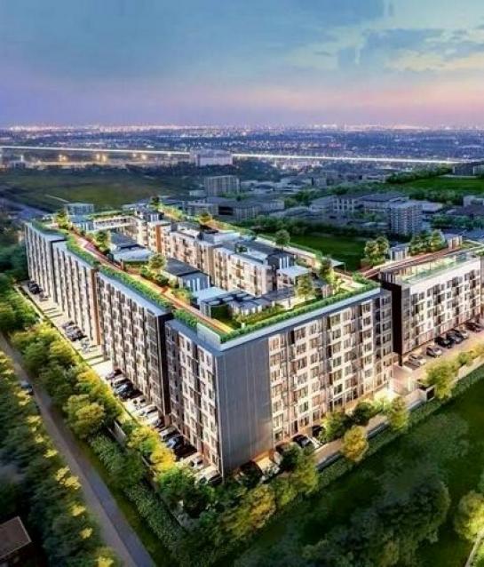 ��¤͹� �ѹ�����