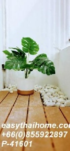 �͹� 63 ���ҧ����