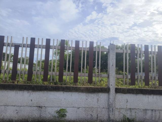 ���Թ������ ��ا෾��ҹ��