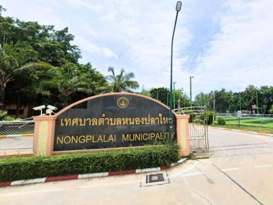 ���Թ俿����Ҷ֧ �ź���