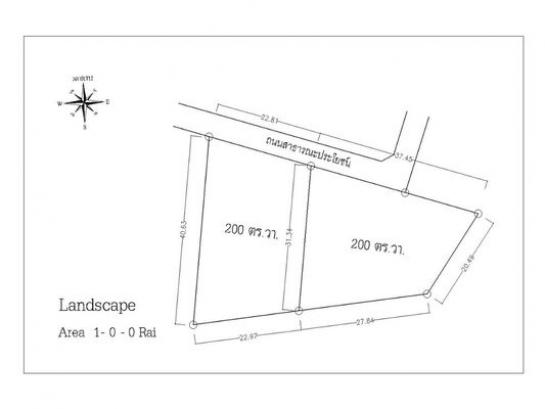 ���Թ�չ�ӺҴ�� �ź���