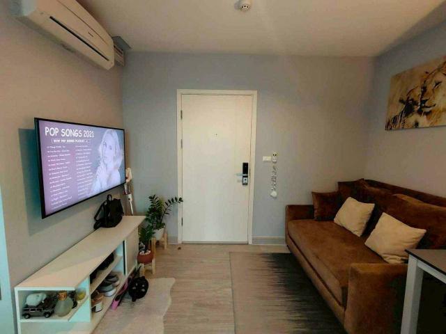 �͹���ѡ��� ��ا෾