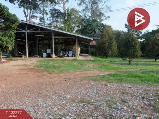 ���Թ���ͧ�ѹ����� �ѹ�����