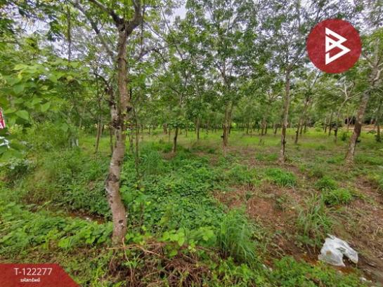 ���Թ�Դ�����ѡ �ѹ�����