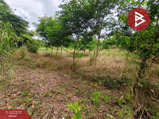 ���Թ�Ҥһ����Թ �ѹ�����