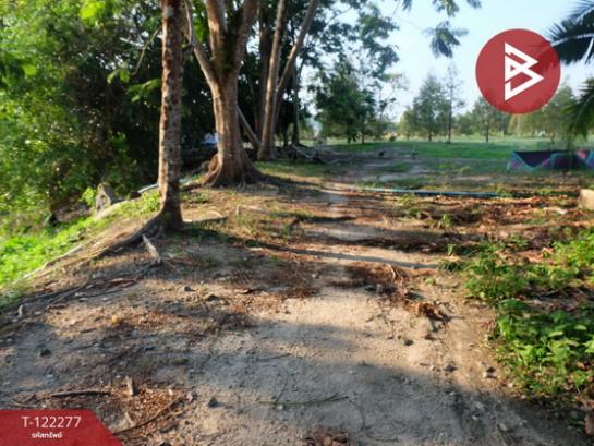 ���Թ����ҡ�Թ �ѹ�����