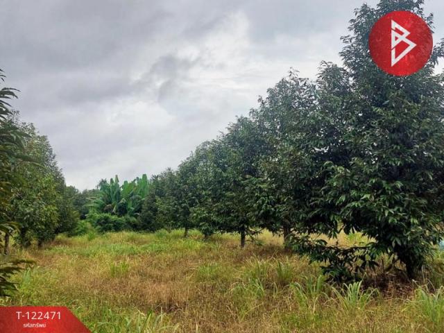 ���Թ ���ǹ �����¹