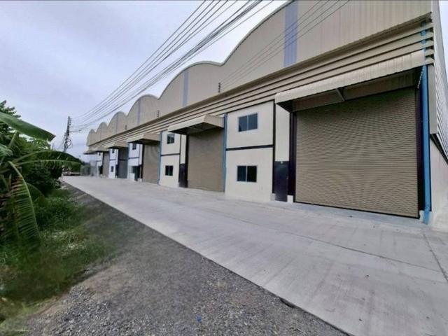 ⡴ѧ���������