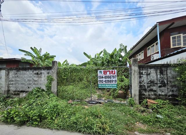 ���Թ �����