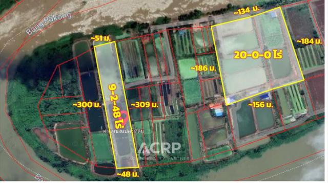 Acute Realty Partner