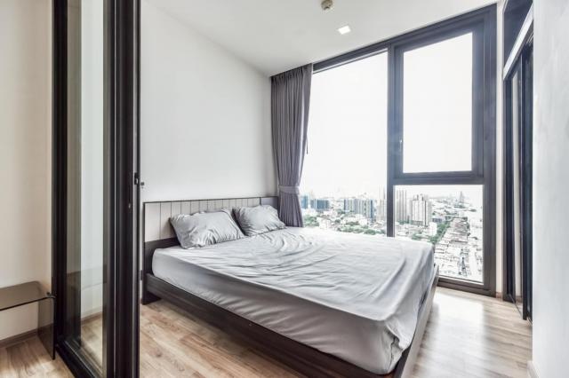 �͹�������ͧ ��بѡ�