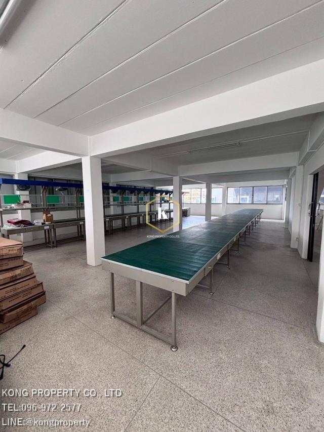 ⡴ѧ������ �ҧ�