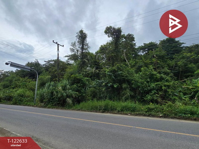 ���Թ�Т�� �ѹ�����