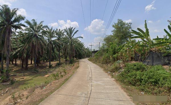 ���Թ�˹�ͤ�ͧ ��к��