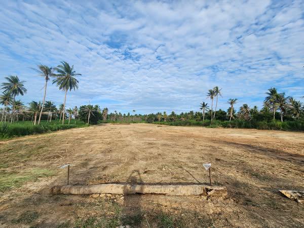 ��ªź��� �� ritthichai