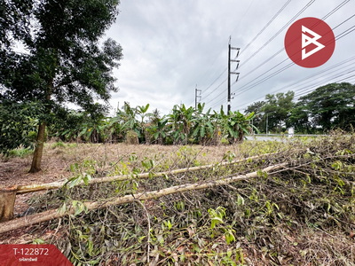 ���Թ�Դ��� �ѹ�����