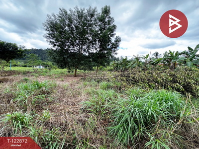 ���Թ�Դ����˭� �ѹ�����