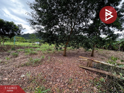 ���Թ�Т�� �ѹ�����