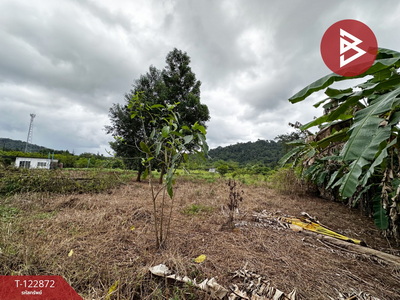 ���Թ�ѹ����� �ѹ�����