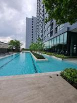 �͹� ���⢹�