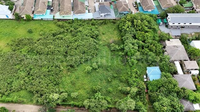 ที่ดิน ติดถนนคอนกรีต นนทบุรี ที่ดิน ติดถนนคอนกรีต นนทบุรี