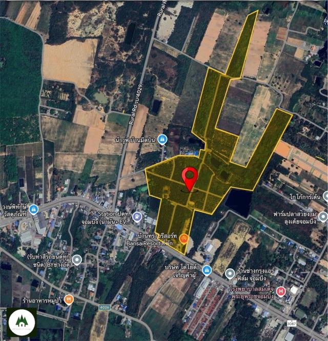 ���Թ����֧ �Ҫ����