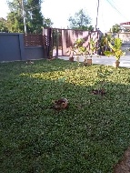 �����Һ�ҹ �ҧ��