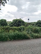 ��·��Թ �Ҥһ�С�Ȣ�� 22,600,000 �ҷ