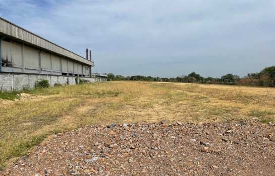 ที่ดิน 7 ไร่ ที่ดิน 7 ไร่