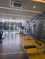 �͹� �ҧ�л� 30.65 ���ҧ����