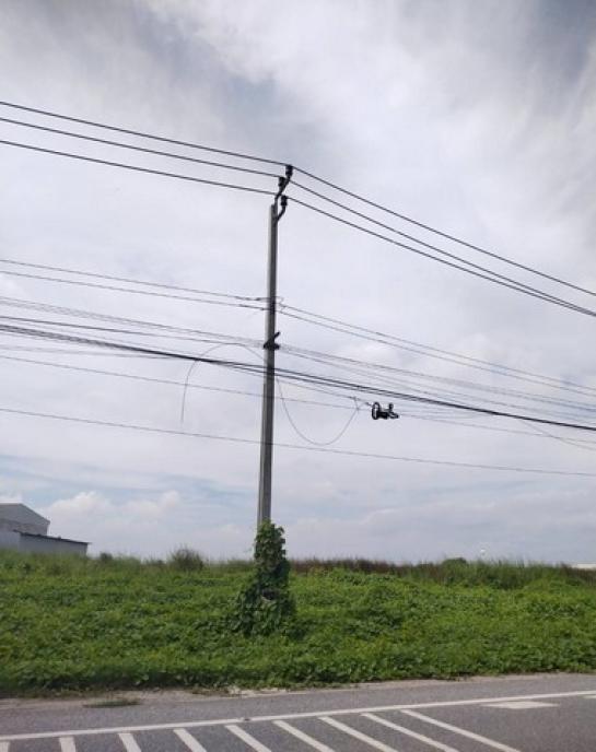 ���Թ�Ԥ��Ѳ�� ���ͧ