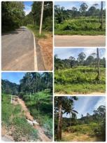 ��·��Թ �Ҥһ�С�Ȣ�� 12,000,000 �ҷ