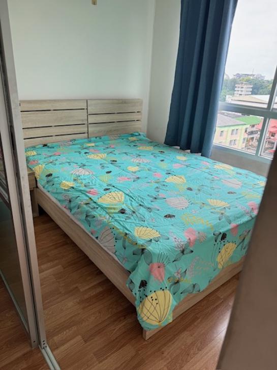 �͹������� �֧����