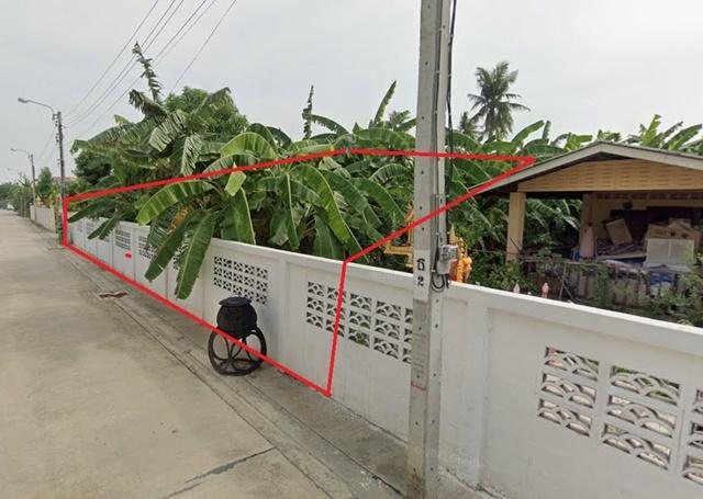 �ط����� �� nut.allentrepreneur